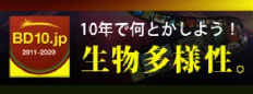 BD10.jp